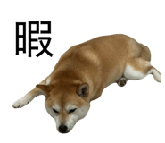 855651172