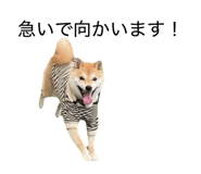 855651176