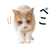 855652276