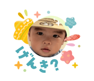 855652646