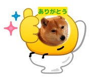 855652939