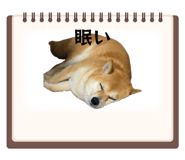 855652940
