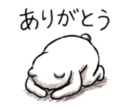 855653062