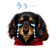 855653140