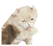 855654145