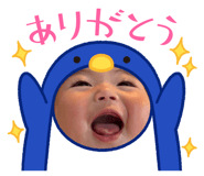 855654491