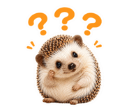 855654755