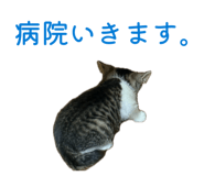 855655236