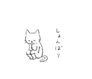 855655746