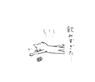 855655764