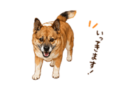 855656051