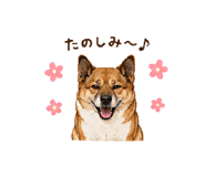 855656054