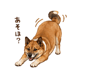 855656055