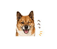 855656064
