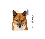 855656066