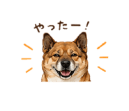 855656070