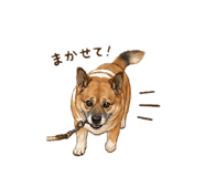 855656079