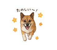 855656080