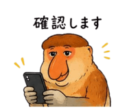 855658971