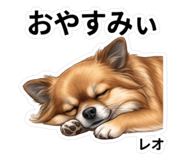 855660340