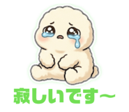 855660566
