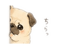 855661177