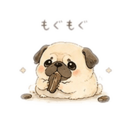 855661199