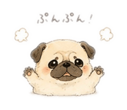 855661206