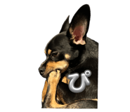 855668024
