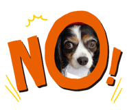 855668026