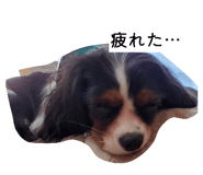 855668028