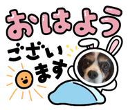 855668029