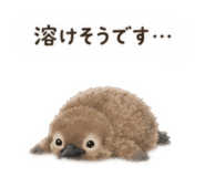 855668132