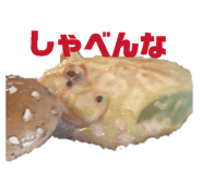 855668491