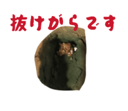 855668494