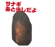 855668496