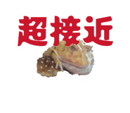 855668498