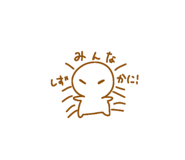 855668548