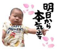 855668682