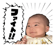 855668683