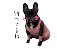 855668880