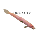 855668930