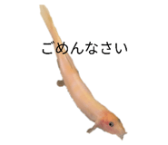 855668932
