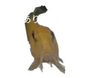 855668934