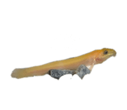 855668935