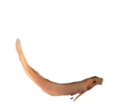 855668936