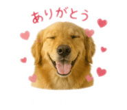 855668972