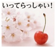 855669147