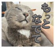 855669271