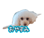 855669289